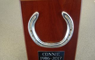 Horse Shoe plaque