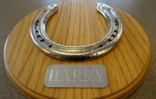 Chrome horseshoe plaque